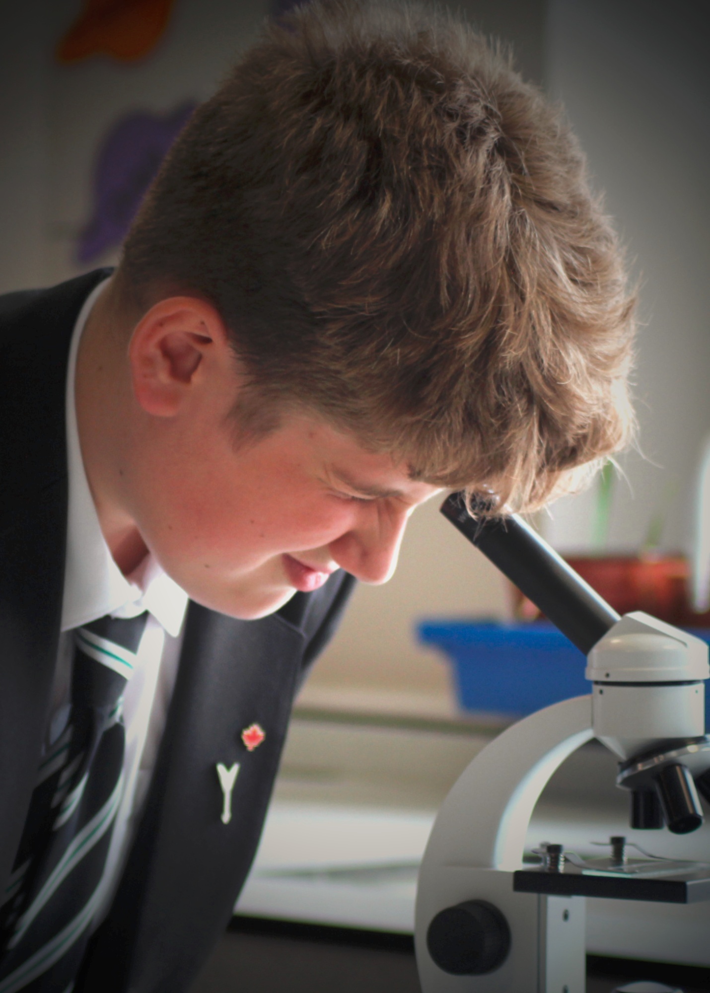 Learning and Curriculum image
